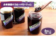 自家農園のブルーベリージャム6瓶セット（2瓶×3箱）加工品 フルーツジャム [№5840-2385]