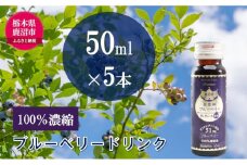 無添加 砂糖不使用 のぎゅぎゅっと 100％ 濃縮 ブルーベリードリンク 1箱 （50ml×5本） 果汁飲料 野菜飲料 ブルーベリージュース [№5840-2386]