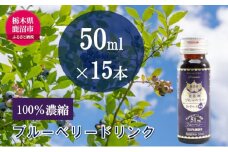 無添加 砂糖不使用 のぎゅぎゅっと 100％ 濃縮 ブルーベリードリンク 3箱 （50ml×15本） 果汁飲料 野菜飲料 ブルーベリージュース [№5840-2388]