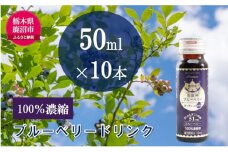 無添加 砂糖不使用 のぎゅぎゅっと 100％ 濃縮 ブルーベリードリンク 2箱 （50ml×10本） 果汁飲料 野菜飲料 ブルーベリージュース [№5840-2387]