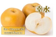 梨(幸水) 8玉～14玉入り×1箱 (4.5kg以上) ※2025年8月中旬～8月下旬頃に順次発送予定