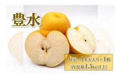 梨(豊水) 6玉～14玉入り×1箱 (4.5kg以上) ※2025年8月下旬～9月下旬頃に順次発送予定