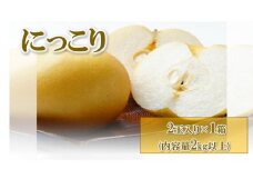 【先行予約】梨(にっこり) 2玉入り×1箱 (2kg以上) ※2025年10月上旬～11月下旬頃に順次発送予定
