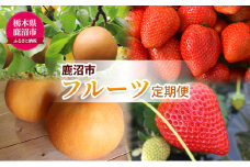 【 定期便 2回 】 大玉な梨 にっこり 2玉 約2kg と いちご市 鹿沼の 美味しい 「い」「ち」「ご」 とちあいか 15粒入り260g 2パック の フルーツ 定期便 梨 いちご イチゴ 苺 フルーツ 果物 甘い うまい 鹿沼市 かぬま [№5840-2767]　※沖縄・離島への配送不可　※2025年10月中旬～2026年1月下旬頃に順次発送予定