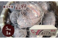 鹿沼市産 里芋 5kg 約50個入り 1箱  さといも 野菜 うまい しっとり ねっとり やわらか 食感 煮くずれしにい 鹿沼市 かぬま [№5840-2769]　※沖縄・離島への配送不可　※2025年11月上旬～11月下旬頃に順次発送予定
