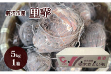 鹿沼市産 里芋 5kg 約50個入り 1箱  さといも 野菜 うまい しっとり ねっとり やわらか 食感 煮くずれしにい 鹿沼市 かぬま [№5840-2769]　※沖縄・離島への配送不可　※2025年11月上旬～11月下旬頃に順次発送予定