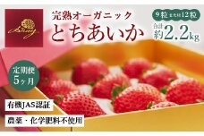 【定期便5ヶ月】完熟オーガニックとちあいか 9粒または12粒 ※2025年12月上旬～2026年4月下旬頃に順次発送予定