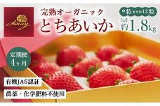 【定期便4ヶ月】完熟オーガニックとちあいか 9粒または12粒 ※2025年12月上旬～2026年4月下旬頃に順次発送予定