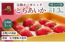 【定期便3ヶ月】完熟オーガニックとちあいか 9粒または12粒 ※2025年12月上旬～2026年4月下旬頃に順次発送予定