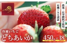 冷凍いちご  450g×18