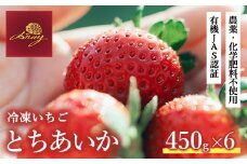 冷凍いちご  450g×6