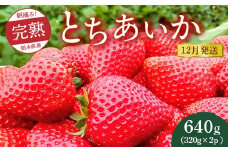 【先行予約】【12月発送】朝摘み！完熟とちあいか 640g（320g×2p）　※離島への配送不可　※2025年12月上旬～12月下旬頃に順次発送予定