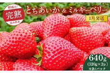 【先行予約】【1月発送】朝摘み！完熟とちあいか＆ミルキーベリーの紅白セット 640g（320g×2p(各1パック) ）　※離島への配送不可　※2026年1月上旬～1月下旬頃に順次発送予定