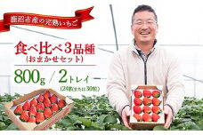 【先行予約/数量限定】【贅沢いちごセット】完熟いちご食べ比べ3品種（24粒または30粒）おまかせセット2トレイ800g ｜ 栃木県 鹿沼市 産地直送 旬 いちご こだわり 高級品 贈答用 イチゴ 苺 果物 フルーツ 期間限定　 　※2025年12月中旬～2026年2月中旬頃に順次発送予定
