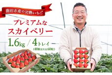 【先行予約/数量限定】プレミアムな完熟スカイベリー（48粒または60粒）4トレイ1600g｜ 栃木県 鹿沼市 産地直送 旬 いちご こだわり 高級品 贈答用 イチゴ 苺 果物 フルーツ 期間限定　※2025年12月中旬～2026年2月中旬頃に順次発送予定
