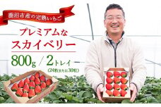 【先行予約/数量限定】プレミアムな完熟スカイベリー（24粒または30粒）2トレイ800g｜ 栃木県 鹿沼市 産地直送 旬 いちご こだわり 高級品 贈答用 イチゴ 苺 果物 フルーツ 期間限定　※2025年12月中旬～2026年2月中旬頃に順次発送予定