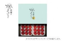 究極のふつういちご「厳選大粒とちあいか30粒入り」