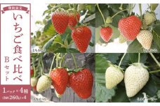 【先行予約受付】≪2026年1月～発送開始≫4種のいちご食べ比べ とちおとめ、とちあいか、スカイベリー、ミルキーベリーのBセット＜各約260ｇ＞ ｜ いちご イチゴ 苺 食べくらべ セット 日光いちご園 渡辺 産地直送 産直 栃木 日光