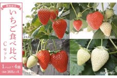 【先行予約受付】≪2026年1月～発送開始≫4種のいちご食べ比べ とちおとめ、とちあいか、スカイベリー、ミルキーベリーのCセット＜各約160ｇ＞ ｜ いちご イチゴ 苺 食べくらべ セット 日光いちご園 渡辺 産地直送 産直 栃木 日光