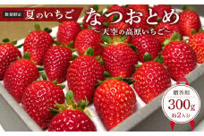 【限定販売】夏のいちご「なつおとめ」天空の高原 いちご プレミアムギフト 計300ｇ 贈答用 化粧箱入り 約2人分　期間限定 数量限定 いちご イチゴ 苺 フルーツ 果物 スイーツ 産地直送  日光市 栃木県