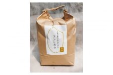 【先行予約受付】≪2025年11月発送≫令和7年産 コシヒカリ 玄米 10kg（5kg×2袋） ｜米 お米 新米 数量限定