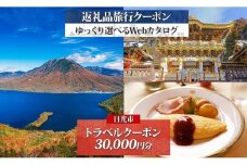 日光市 後から選べる 旅行クーポン（30,000円分） 旅行券 宿泊券