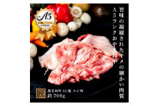 おやま和牛 A5 極 スジ肉 約700g【1096951】