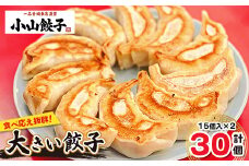 冷凍餃子専門店  小山餃子 大きい餃子 30個【1259608】