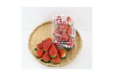 ＜いちご王国の逸品＞小山市産「とちおとめ」 260g×4P【1260963】