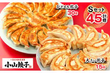 冷凍餃子専門店 小山餃子[Sセット全45個] ひとくち餃子30個/大きい餃子15個【1277803】