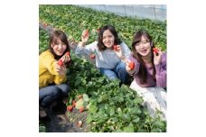 栃木県小山市 2024年いちご狩りご招待券(大人2名様分)【1446920】