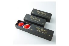 Sky Berry 3piece 3粒入り×3箱【1105207】