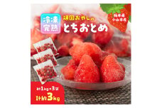 頑固おやじの冷凍完熟とちおとめ合計約3kg(約1kgX3個)【1218277】