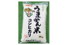 令和6年産　栃木県小山市産　コシヒカリ　うまかん米　精米10kg【1491364】