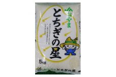 令和5年産　栃木県小山市産　とちぎの星　精米5kg【1491372】