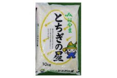 令和5年産　栃木県小山市産　とちぎの星　精米10kg【1491374】