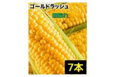 ＜7本＞朝採れ!新鮮とうもろこし「ゴールドラッシュ」【1487254】