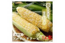 糖度20度!甘くて美味いとうもろこし「ドルチェドリーム」 14本【1487255】