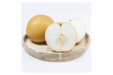 栃木県小山市産「梨」甘太　5kg【1334084】