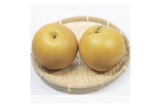 栃木県小山市産　にっこり梨　5kg【1334082】