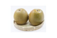 栃木県小山市産「梨」王秋　5kg【1516075】
