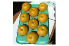 栃木県小山市産「梨」豊水　5kg【1515773】