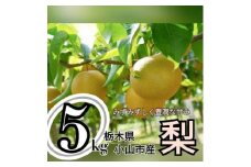ずっしり5kg＜にっこり＞　栃木県小山市産の梨　【1441930】