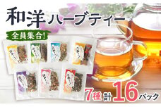 ＜16パック入り＞全員集合!本格ブレンドハーブティーおとっぺ茶【1515243】