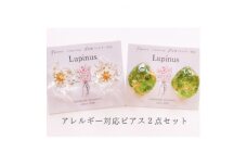 アレルギー対応ピアス 2点セット「クリアフラワーのピアス・アジアンタムのピアス」【1516626】