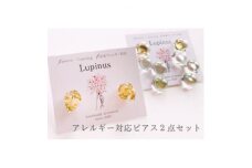 アレルギー対応ピアス 2点セット「しゃぼん玉オーロラピアス・かすみ草の鉱石風ピアス」【1516629】