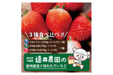 栃木県産のいちご3種食べ比べ|スカイベリー2パック(1箱)・とちおとめ・とちあいか各1パック(1箱)【1518934】