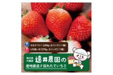栃木県産のいちご2種食べ比べ|スカイベリー2パック(1箱)・とちあいか2パック(1箱)【1518935】