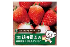 産地直送!!栃木県遠井農園の美味しいとちおとめ＜270g×2パック(1箱)＞【1518938】