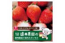 産地直送!!栃木県遠井農園の美味しいとちあいか＜270g×4パック(2箱)＞【1518939】